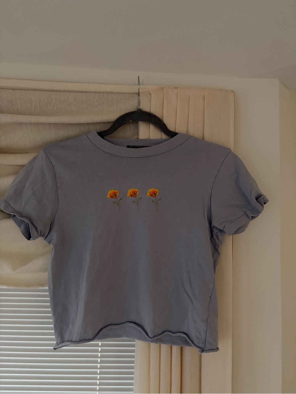 Brandy Melville Crop Tee with Orange Floral Embroidery